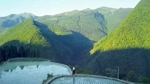 与梦想合拍 致富路上，坚韧不拔助力成功