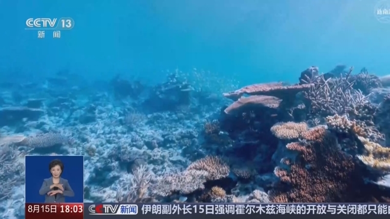 共同关注 《共同关注》 20260815
