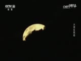 自然传奇 《自然传奇》 20170520 大河生死劫