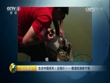 生财有道 《生财有道》 20170808 生态中国系列（沿海行）——靠海吃海看宁海