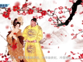 古代诗词精彩鉴赏 《谢赐珍珠》江采萍