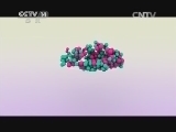 智慧树 《智慧树》 20140423