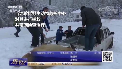 热线12 《热线12》 20190108