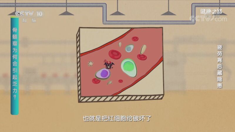 健康之路 《健康之路》 20200908 疲劳背后藏隐患