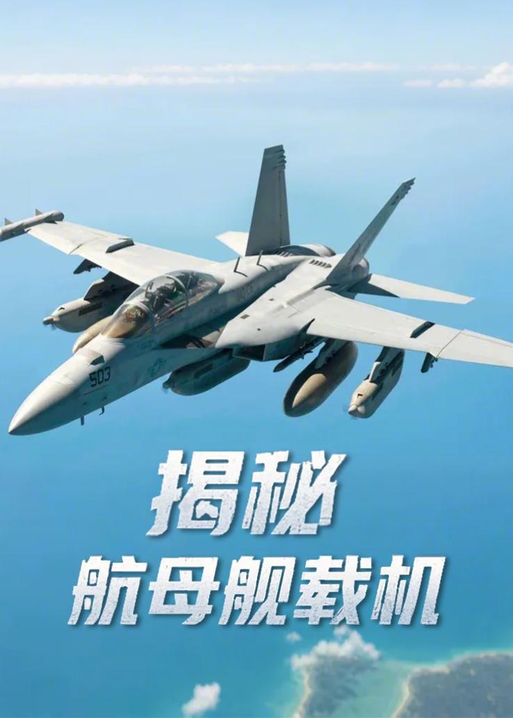 揭秘航母舰载机 海报