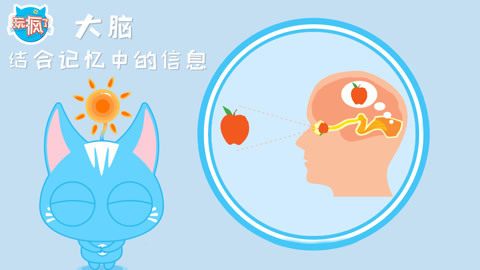 玩疯了之方大手不吃鱼 DK玩出来的百科奇特视觉假象