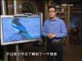 走近科学 天价鸟之谜