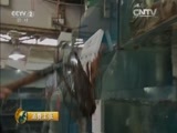 消费主张 《消费主张》 20151231 2015消费潮流最前沿——活力生鲜