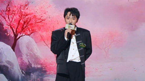 张杨凯男改编版《石头记》赵志刚战队获得三名大将