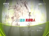 地理中国 《地理中国》 20161223 岭谷奇木·寻找“榕树王”