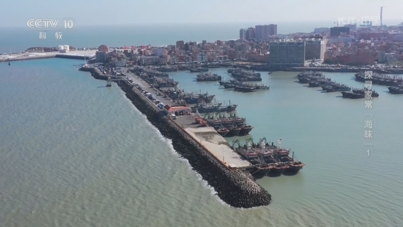 《地理·中国》 20260511 探寻家常“海味”1