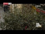 百姓故事汇 《百姓故事汇》 20150326 甜蜜陷阱