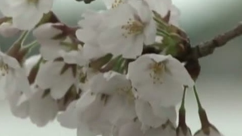 耳目一新 耳目一新20150411