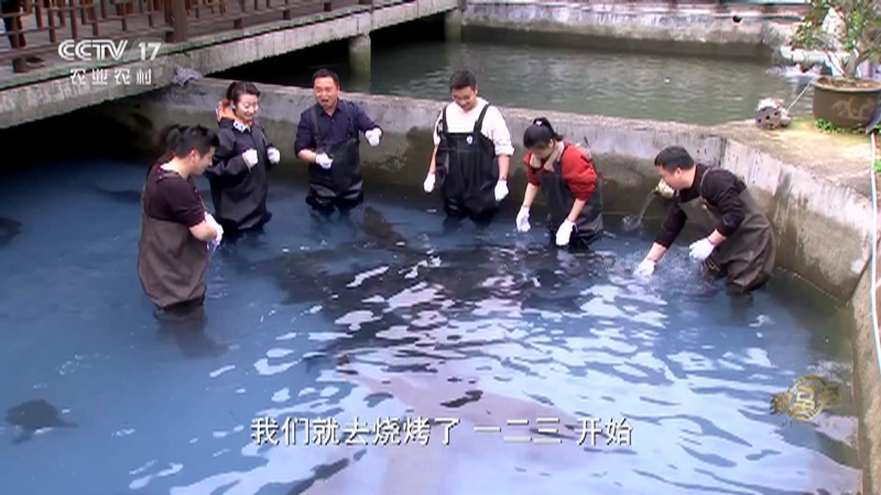 《致富经》 20210414 招法一变 大鱼小鱼都来财