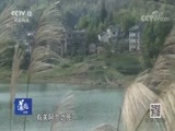 道德观察 《道德观察（日播版）》 20180820 记忆的伤痕（上）