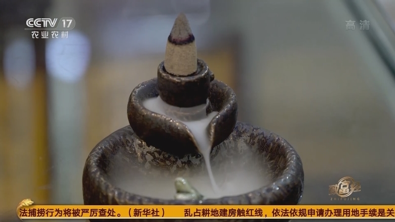 《致富经》 20210129 大叔种树 巧获财富