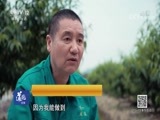 道德观察 《道德观察（日播版）》 20180626 6·26国际禁毒日特别节目——等你回家 地狱之渊的摆渡人