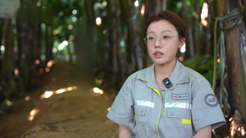 种植前线2026 补钾壮蕾促进蕉树健壮发育 先进种植带蕉农创收致富