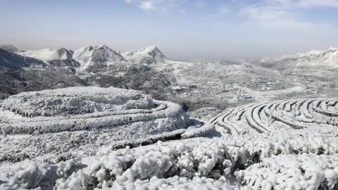 新闻手语20210115