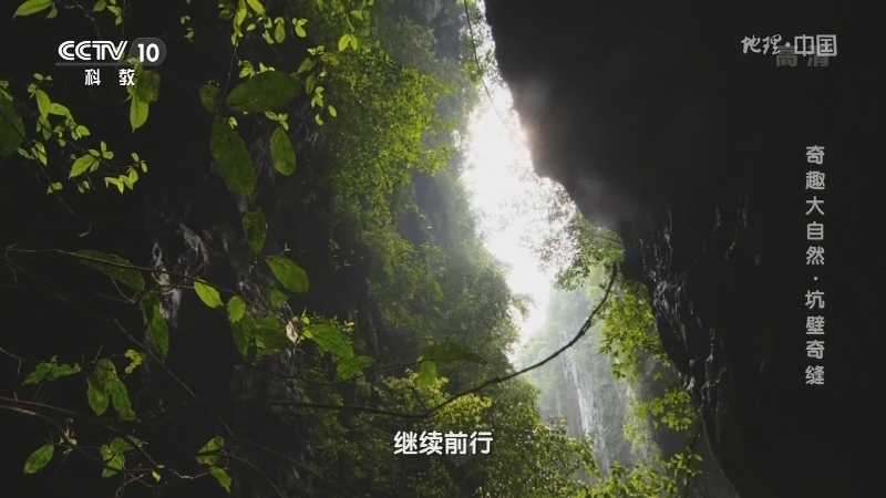 地理中国 《地理·中国》 20201125 奇趣大自然·坑壁奇缝