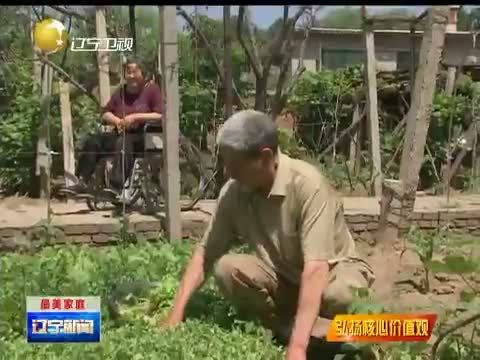 辽宁新闻 《辽宁新闻》 20140602
