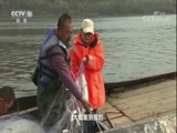地理中国 《地理中国》 20180124 冬日奇观·坚冰下的秘密