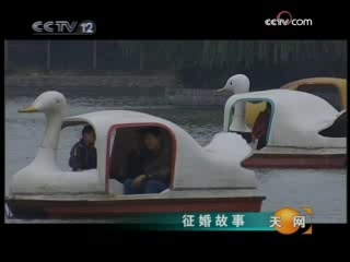 天网 征婚故事