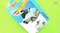 月采亲子游戏 2016 Hotwheels美泰风火轮74号 228