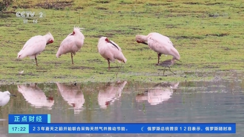 正点财经 《正点财经》 20221013 17:00