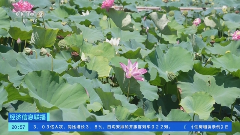 经济信息联播 《经济信息联播》 20250722