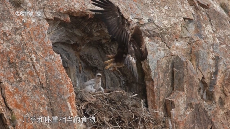 《极致新疆》 第2集 万山之祖