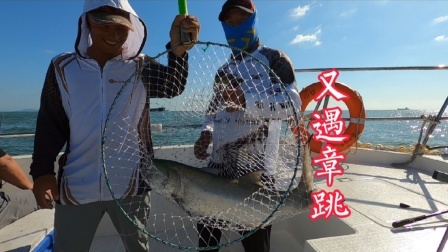 是什么样的运气不加钢丝前导上章跳居然不断线，新手运气果然无敌