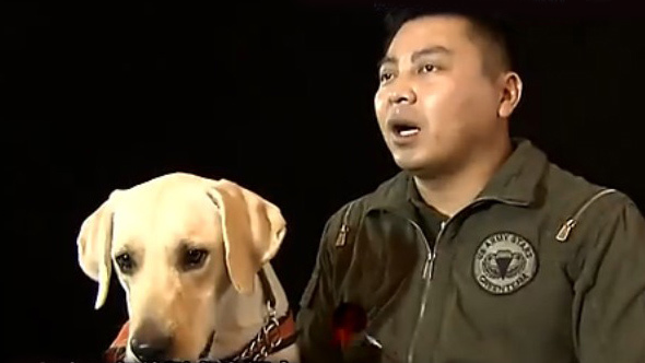 谁与争锋 第二季 工作犬VS洗碗机