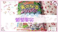 爱茉莉兒の食玩世界 葡萄果实奶昔 17