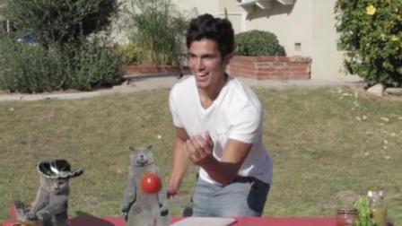 外出野餐什么都不用带 带个魔术师和猫咪就能完美解决 37