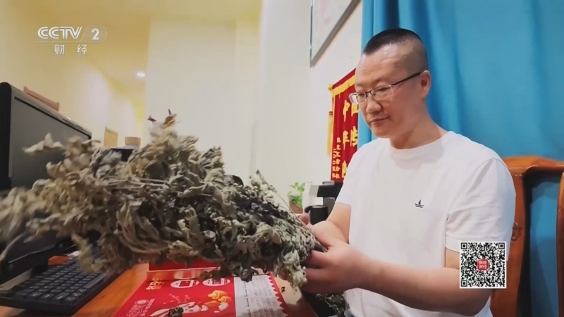 生财有道 《生财有道》 20260825 免签来华 品味中国：边贸小城 文化“圈粉”