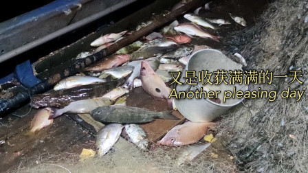 南澳岛赶海日记 台风来临前出海捕鱼，没想到渔获这么多，还捕到值钱品种的石斑鱼