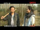 生财有道 [生财有道]靠树木吃饭的老范(20111125)