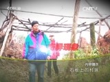 地理中国 《地理中国》 20160111 石板上的村落