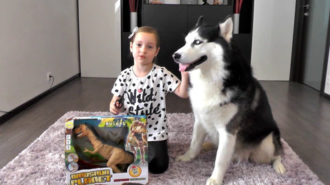 带狗狗弗兰克去打针