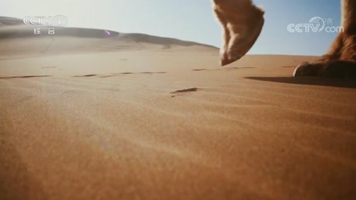 《携手奔向互利共赢的康庄大道》 20190510