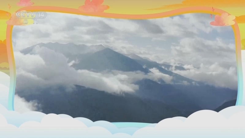 小小智慧树 《小小智慧树》 20230627