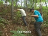 地理中国 《地理中国》 20151217 云海仙山（上）