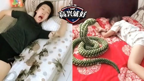 高兴就好 各种分手级熟睡恶作剧，相爱相杀，暴力互整，城会玩！