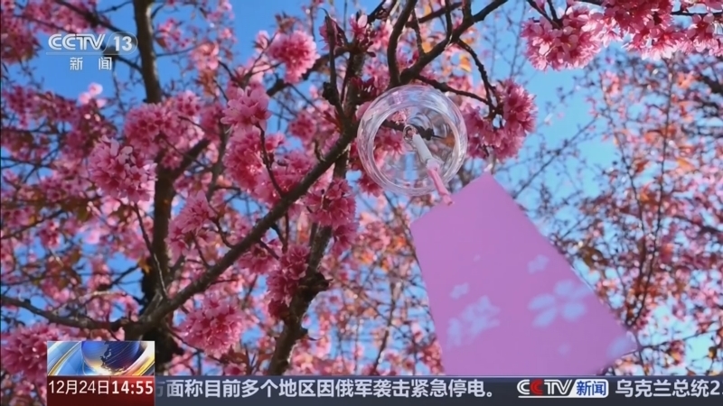 《新闻直播间》 20251224 14:00