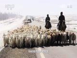 地理中国 《地理中国》 20160828 暑期特别节目·行走的牧场