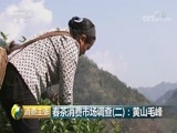 消费主张 《消费主张》 20180419 春茶消费市场调查（二）：黄山毛峰