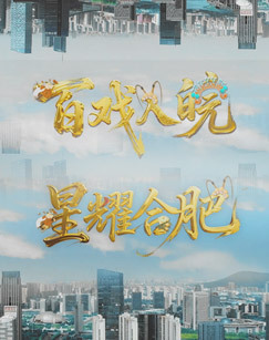 百戏入皖星耀合肥 海报