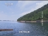 地理中国 《地理中国》 20140816 周末特别节目——地球档案-西海精灵