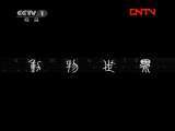 动物世界 《动物世界》 20111031